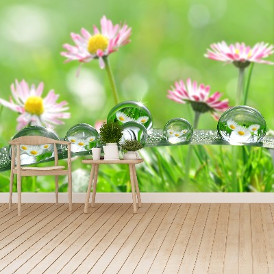 Mural de parede Margaridas Verdes