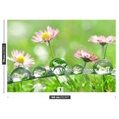 Mural de parede Margaridas Verdes