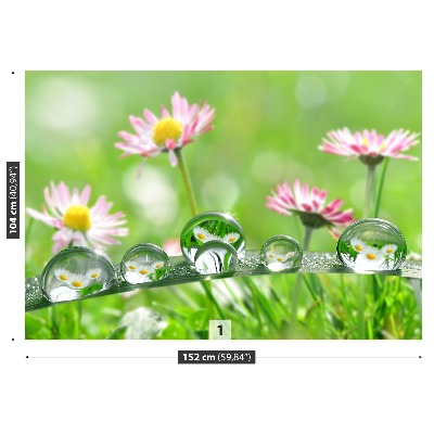 Mural de parede Margaridas Verdes