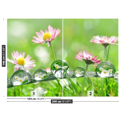 Mural de parede Margaridas Verdes