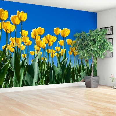 Papel de parede Tulipas Flores