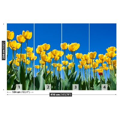 Papel de parede Tulipas Flores