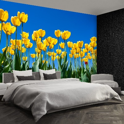 Papel de parede Tulipas Flores