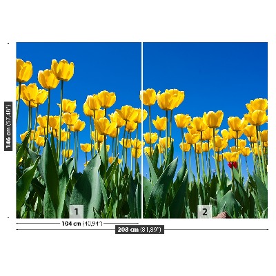 Papel de parede Tulipas Flores