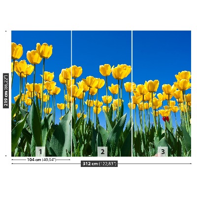 Papel de parede Tulipas Flores