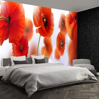 Mural de parede Papoula