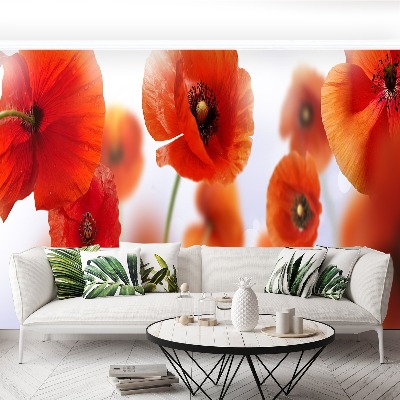 Mural de parede Papoula