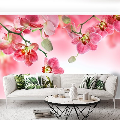 Papel de parede Orquídeas tropicais