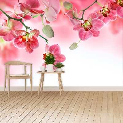 Papel de parede Orquídeas tropicais