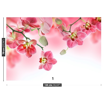 Papel de parede Orquídeas tropicais