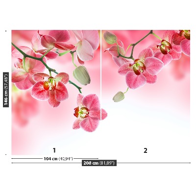 Papel de parede Orquídeas tropicais