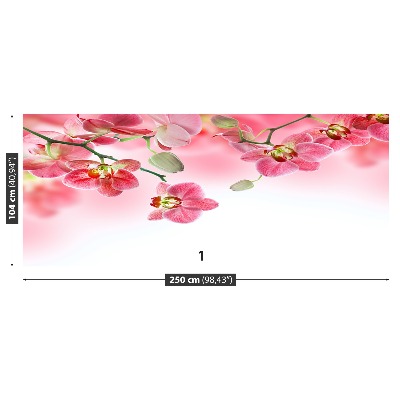 Papel de parede Orquídeas tropicais