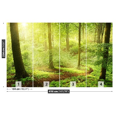 Papel de parede Floresta enevoada