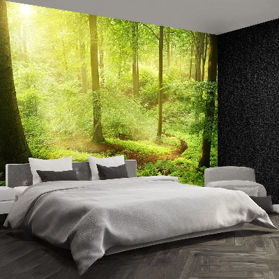 Papel de parede Floresta enevoada