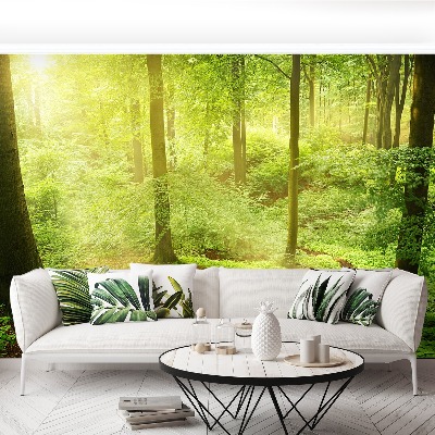 Papel de parede Floresta enevoada