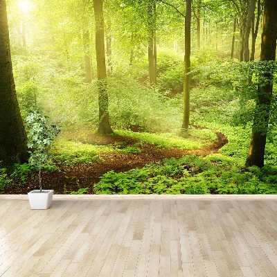 Papel de parede Floresta enevoada