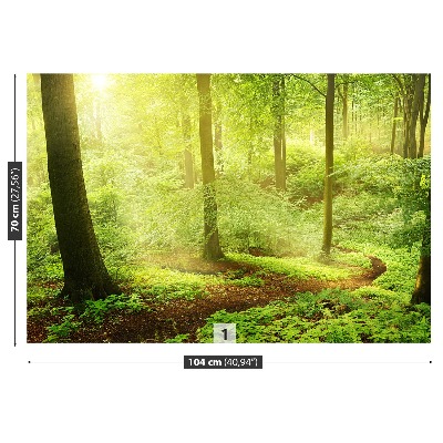 Papel de parede Floresta enevoada