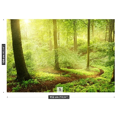 Papel de parede Floresta enevoada