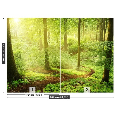 Papel de parede Floresta enevoada