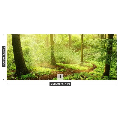 Papel de parede Floresta enevoada