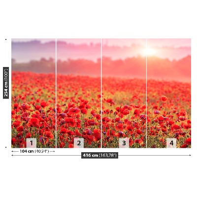 Mural de parede Um campo de papoulas