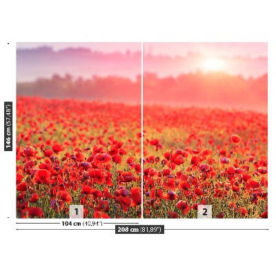 Mural de parede Um campo de papoulas