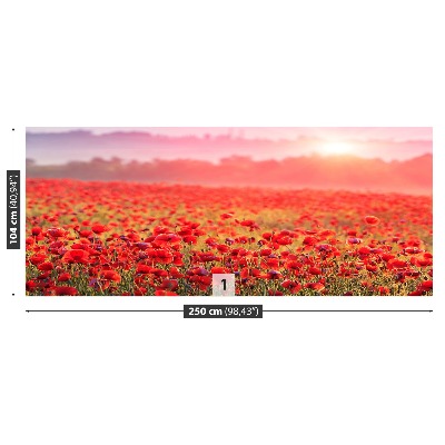 Mural de parede Um campo de papoulas