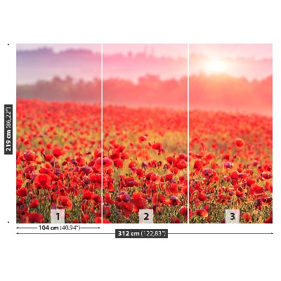 Mural de parede Um campo de papoulas