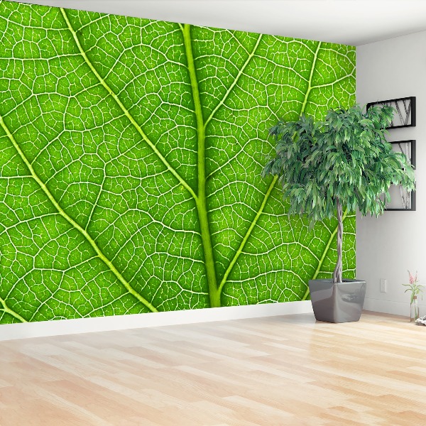 Mural de parede Folha verde