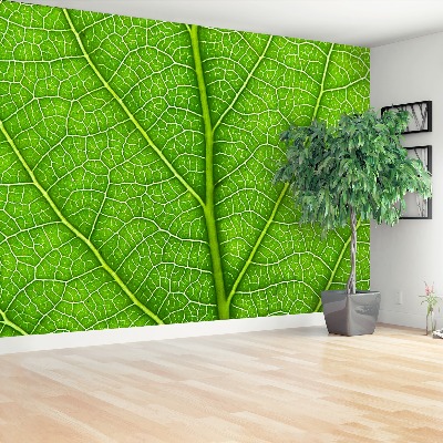 Mural de parede Folha verde