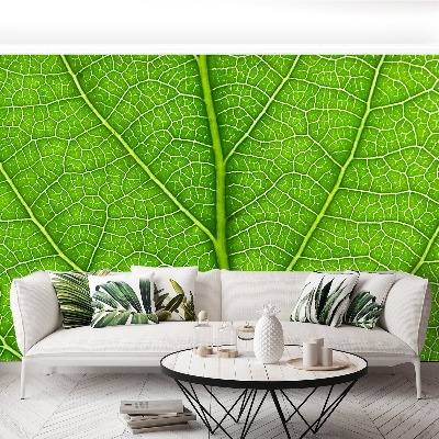 Mural de parede Folha verde