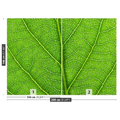 Mural de parede Folha verde