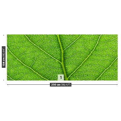 Mural de parede Folha verde