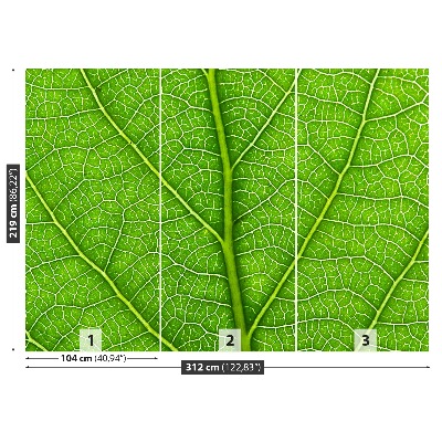 Mural de parede Folha verde