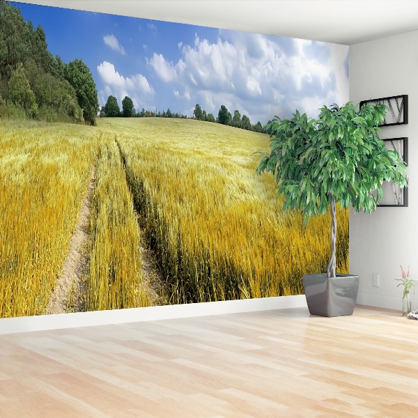 Papel de parede Um campo de grãos