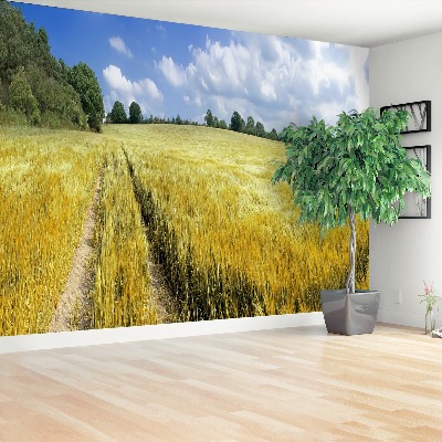 Papel de parede Um campo de grãos