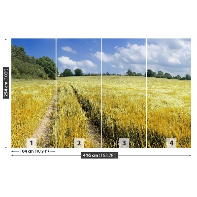 Papel de parede Um campo de grãos