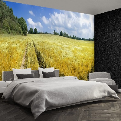 Papel de parede Um campo de grãos