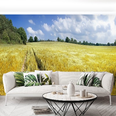 Papel de parede Um campo de grãos