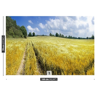 Papel de parede Um campo de grãos