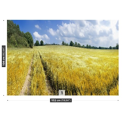 Papel de parede Um campo de grãos