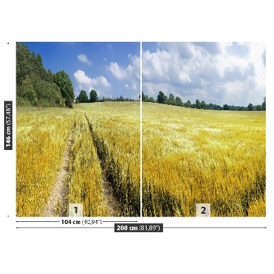 Papel de parede Um campo de grãos