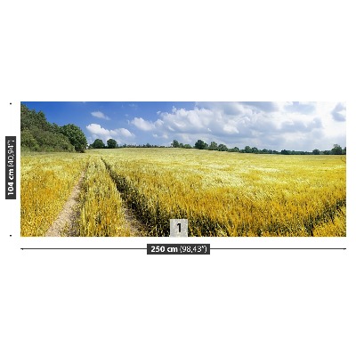 Papel de parede Um campo de grãos