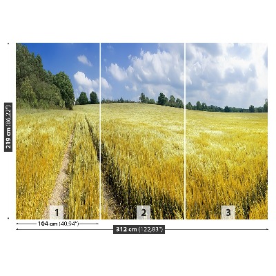 Papel de parede Um campo de grãos