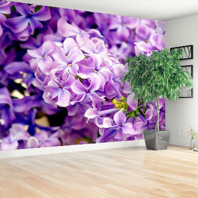 Papel de parede Flores roxas