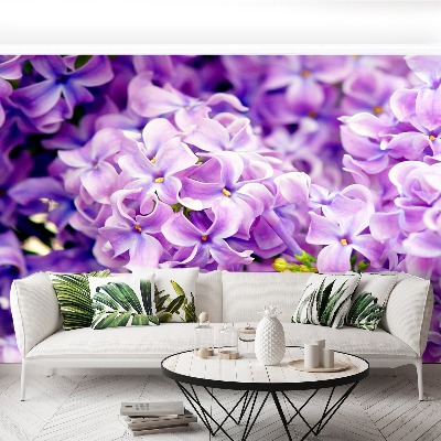 Papel de parede Flores roxas