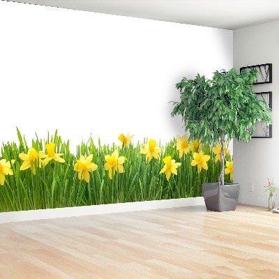 Papel de parede Narciso Branco