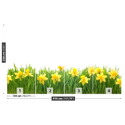 Papel de parede Narciso Branco