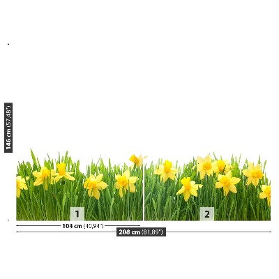 Papel de parede Narciso Branco