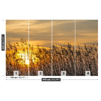 Papel de parede Reed Sun
